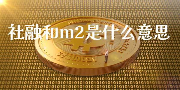 社融和m2是什么意思_https://wap.hpmsj.cn_外汇汇率_第1张