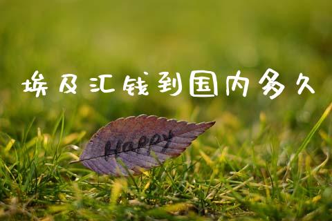埃及汇钱到国内多久_https://wap.hpmsj.cn_外汇汇率_第1张