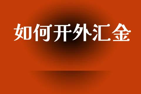 如何开外汇金_https://wap.hpmsj.cn_债券投资_第1张
