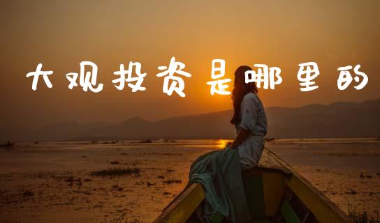 大观投资是哪里的_https://wap.hpmsj.cn_金融机构_第1张