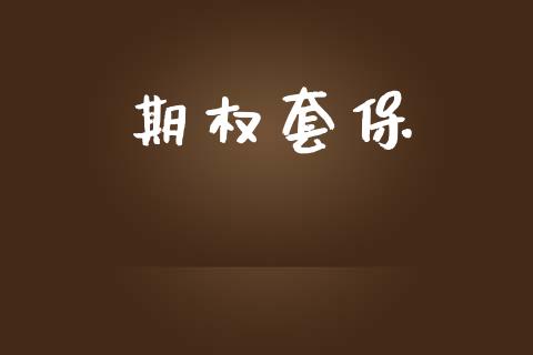 期权套保_https://wap.hpmsj.cn_金融机构_第1张