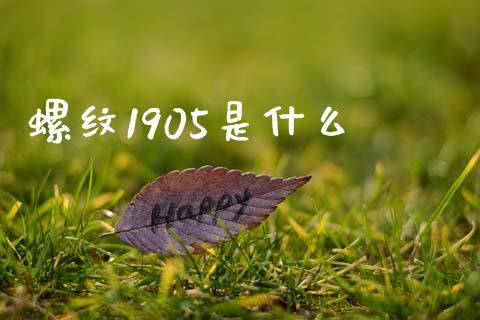 螺纹1905是什么_https://wap.hpmsj.cn_期货交易_第1张