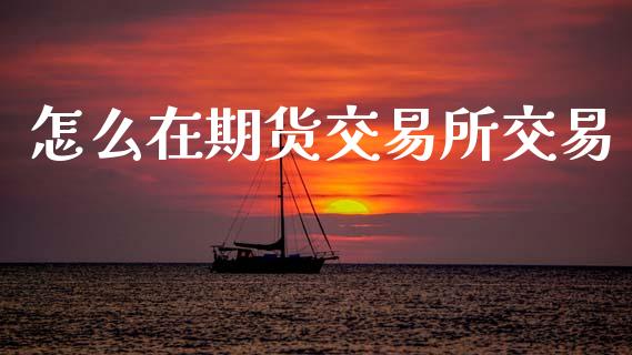 怎么在期货交易所交易_https://wap.hpmsj.cn_外汇汇率_第1张