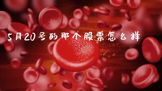 5月20号的那个股票怎么样_https://wap.hpmsj.cn_外汇汇率_第1张