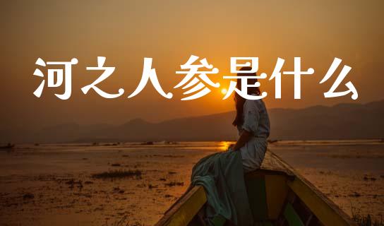 河之人参是什么_https://wap.hpmsj.cn_债券投资_第1张