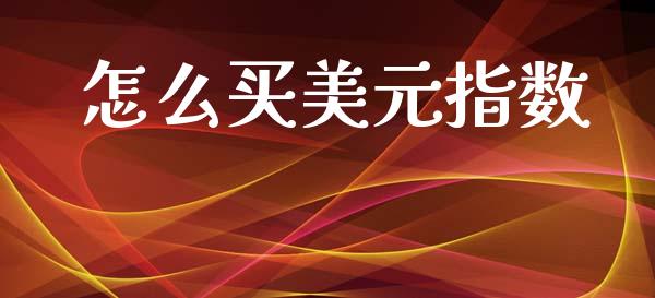 怎么买美元指数_https://wap.hpmsj.cn_外汇汇率_第1张