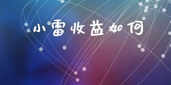 小雷收益如何_https://wap.hpmsj.cn_基金分析_第1张