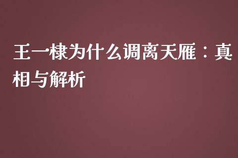 王一棣为什么调离天雁：真相与解析_https://wap.hpmsj.cn_期货交易_第1张