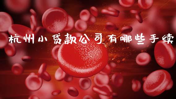 杭州小贷款公司有哪些手续_https://wap.hpmsj.cn_金融机构_第1张