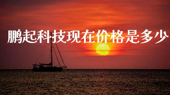 鹏起科技现在价格是多少_https://wap.hpmsj.cn_财经时评_第1张