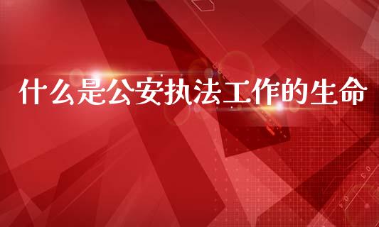 什么是公安执法工作的生命_https://wap.hpmsj.cn_外汇汇率_第1张