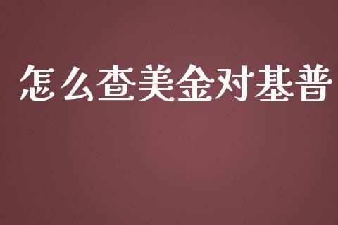 怎么查美金对基普_https://wap.hpmsj.cn_基金分析_第1张