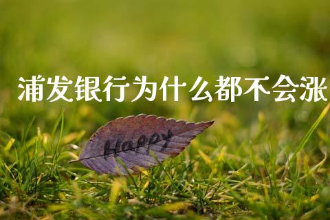 浦发银行为什么都不会涨_https://wap.hpmsj.cn_外汇汇率_第1张