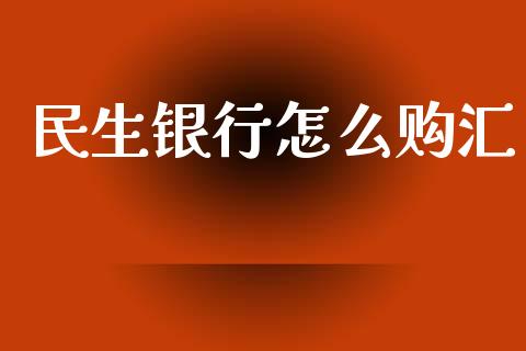 民生银行怎么购汇_https://wap.hpmsj.cn_期货交易_第1张
