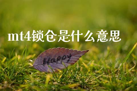 mt4锁仓是什么意思_https://wap.hpmsj.cn_金融机构_第1张