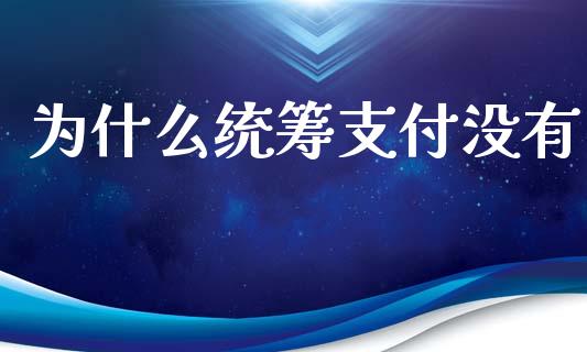 为什么统筹支付没有_https://wap.hpmsj.cn_期货交易_第1张