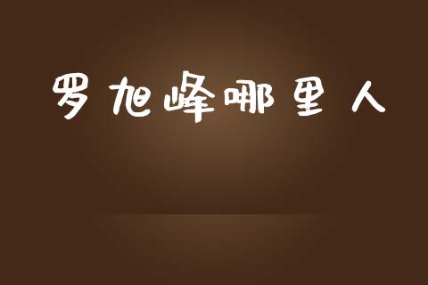 罗旭峰哪里人_https://wap.hpmsj.cn_债券投资_第1张