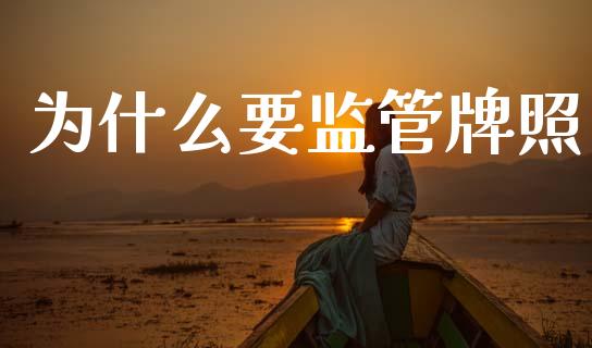 为什么要监管牌照_https://wap.hpmsj.cn_财经时评_第1张