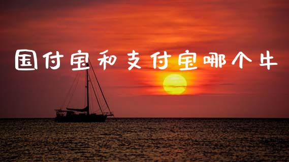国付宝和支付宝哪个牛_https://wap.hpmsj.cn_金融机构_第1张