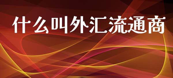 什么叫外汇流通商_https://wap.hpmsj.cn_外汇汇率_第1张