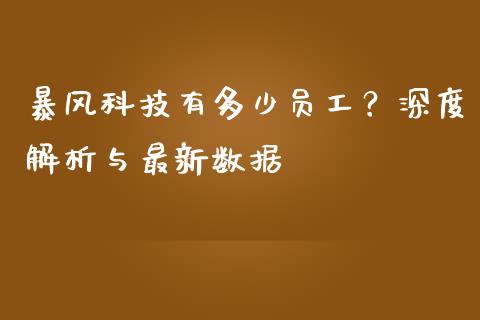 暴风科技有多少员工？深度解析与最新数据_https://wap.hpmsj.cn_财经时评_第1张