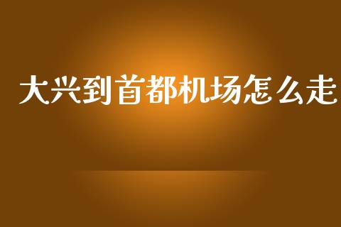 大兴到首都机场怎么走_https://wap.hpmsj.cn_外汇汇率_第1张