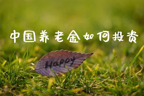 中国养老金如何投资_https://wap.hpmsj.cn_财经时评_第1张
