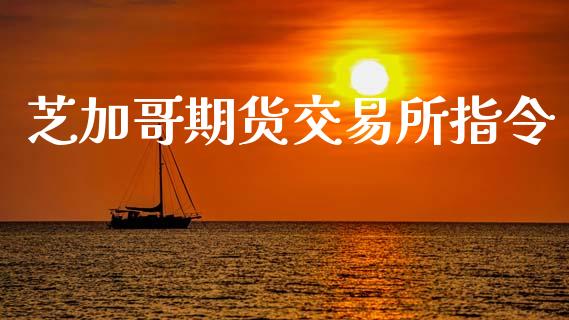 芝加哥期货交易所指令_https://wap.hpmsj.cn_财经时评_第1张