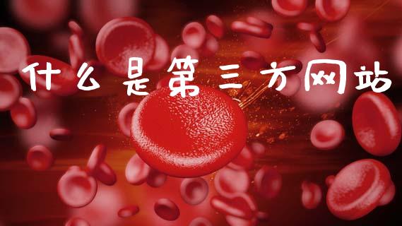 什么是第三方网站_https://wap.hpmsj.cn_金融机构_第1张