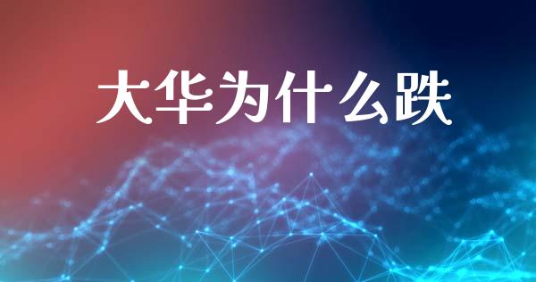 大华为什么跌_https://wap.hpmsj.cn_财经时评_第1张
