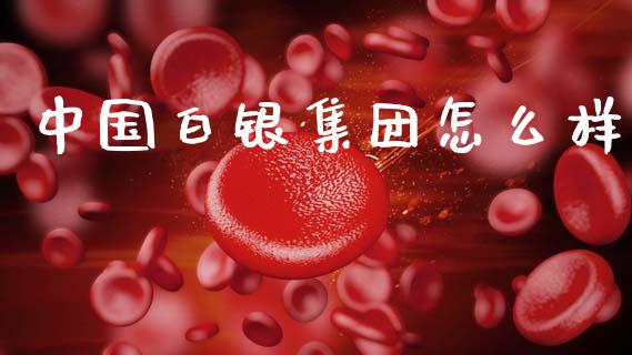 中国白银集团怎么样_https://wap.hpmsj.cn_金融机构_第1张
