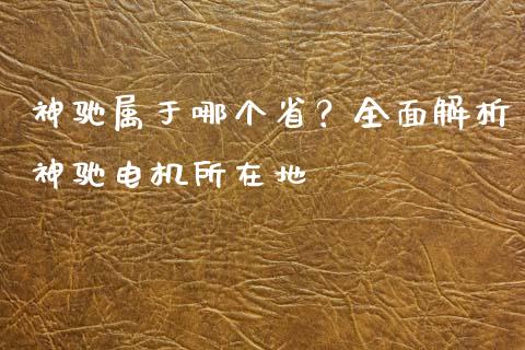 神驰属于哪个省？全面解析神驰电机所在地_https://wap.hpmsj.cn_外汇汇率_第1张