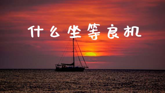 什么坐等良机_https://wap.hpmsj.cn_金融机构_第1张