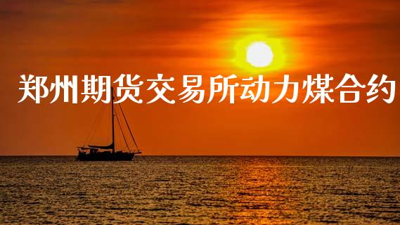 郑州期货交易所动力煤合约_https://wap.hpmsj.cn_期货交易_第1张