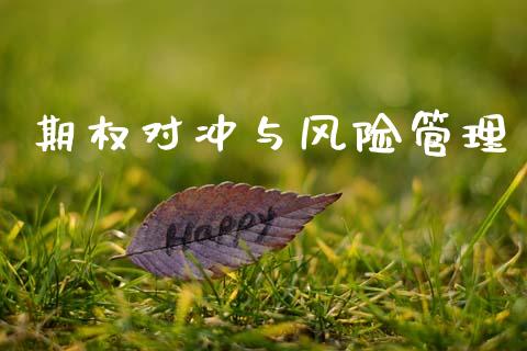 期权对冲与风险管理_https://wap.hpmsj.cn_外汇汇率_第1张