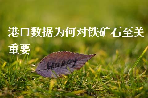 港口数据为何对铁矿石至关重要_https://wap.hpmsj.cn_期货交易_第1张