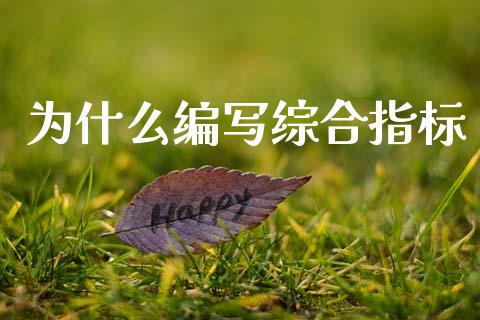 为什么编写综合指标_https://wap.hpmsj.cn_期货交易_第1张