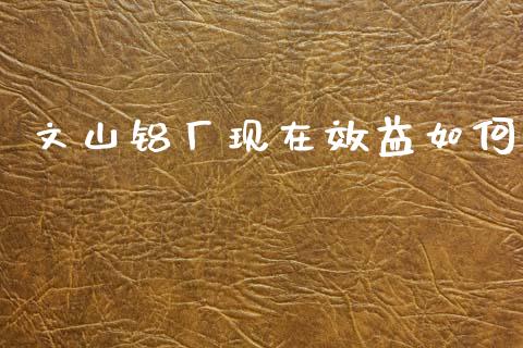 文山铝厂现在效益如何_https://wap.hpmsj.cn_基金分析_第1张