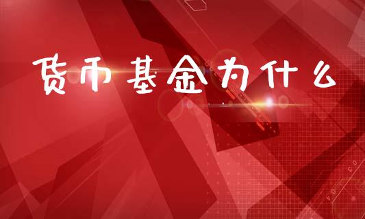 货币基金为什么_https://wap.hpmsj.cn_财经时评_第1张