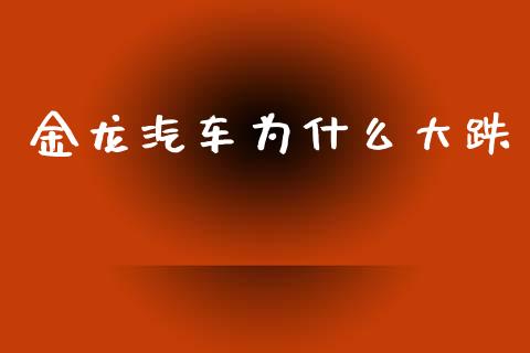 金龙汽车为什么大跌_https://wap.hpmsj.cn_期货交易_第1张