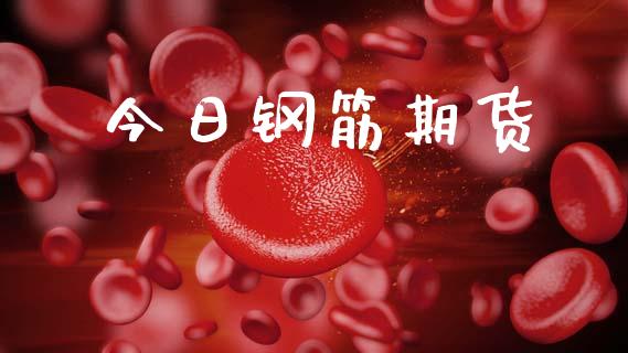 今日钢筋期货_https://wap.hpmsj.cn_金融机构_第1张