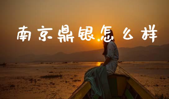 南京鼎银怎么样_https://wap.hpmsj.cn_财经时评_第1张
