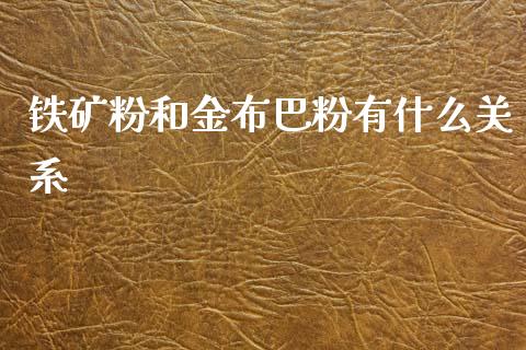 铁矿粉和金布巴粉有什么关系_https://wap.hpmsj.cn_金融机构_第1张