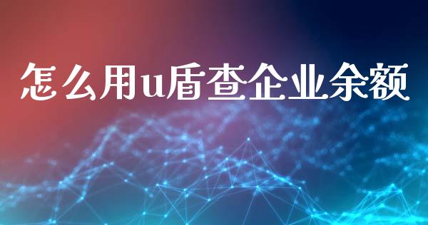怎么用u盾查企业余额_https://wap.hpmsj.cn_财经时评_第1张