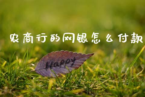 农商行的网银怎么付款_https://wap.hpmsj.cn_债券投资_第1张