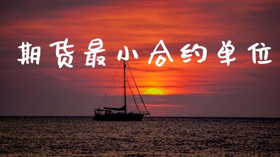 期货最小合约单位_https://wap.hpmsj.cn_债券投资_第1张
