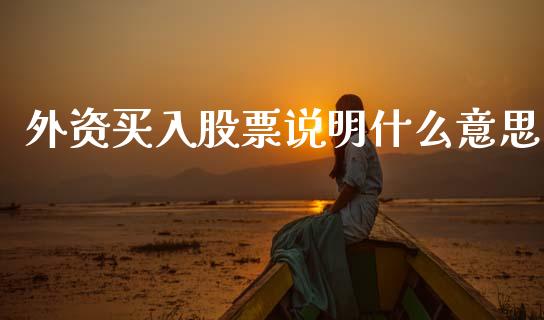 外资买入股票说明什么意思_https://wap.hpmsj.cn_期货交易_第1张