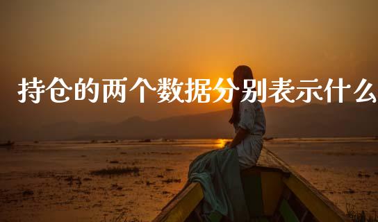 持仓的两个数据分别表示什么_https://wap.hpmsj.cn_外汇汇率_第1张