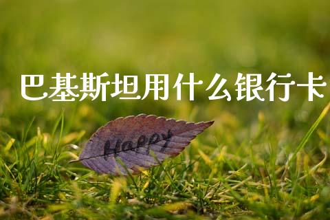 巴基斯坦用什么银行卡_https://wap.hpmsj.cn_债券投资_第1张