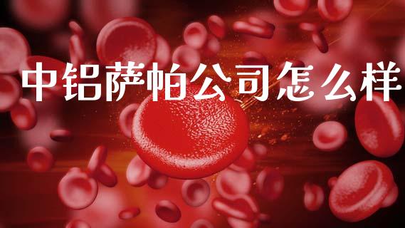中铝萨帕公司怎么样_https://wap.hpmsj.cn_财经时评_第1张